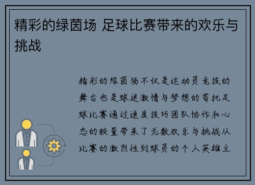 精彩的绿茵场 足球比赛带来的欢乐与挑战