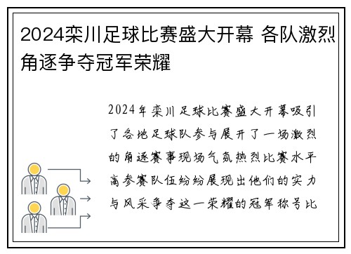2024栾川足球比赛盛大开幕 各队激烈角逐争夺冠军荣耀