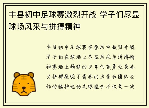丰县初中足球赛激烈开战 学子们尽显球场风采与拼搏精神