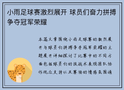 小雨足球赛激烈展开 球员们奋力拼搏争夺冠军荣耀