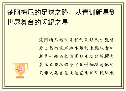 楚阿梅尼的足球之路：从青训新星到世界舞台的闪耀之星