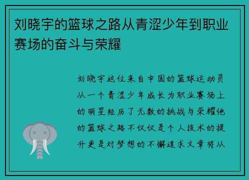 刘晓宇的篮球之路从青涩少年到职业赛场的奋斗与荣耀